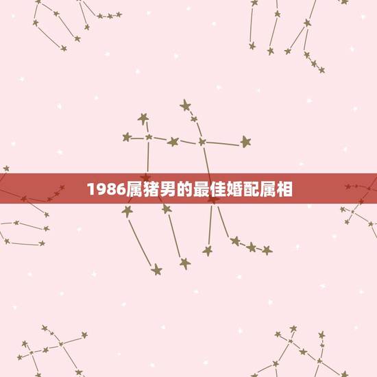 1986属猪男的最佳婚配属相,属猪的男人和什么属相最配 1986属猪男的最佳婚配属相,属猪的男人和什么属相最配
