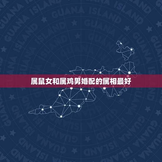 属鼠女和属鸡男婚配的属相最好,女属鼠和男属鸡的配吗 属鼠女和属鸡男婚配的属相最好,女属鼠和男属鸡的配吗