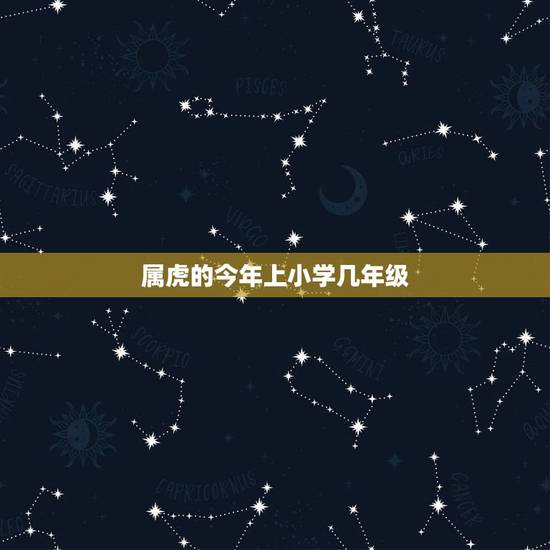 属虎的今年上小学几年级，1986年出生的，正常上小学，初中，高中，大学