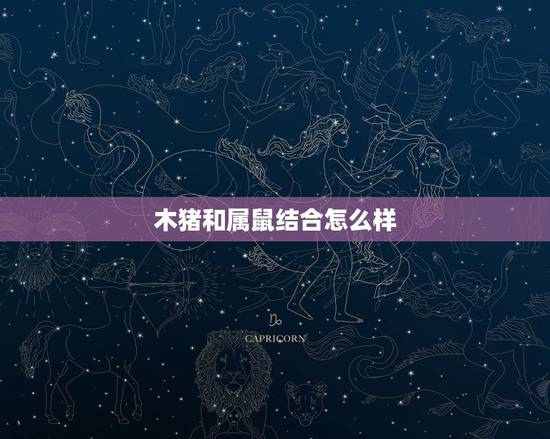 木猪和属鼠结合怎么样，男猪女鼠相配吗婚姻