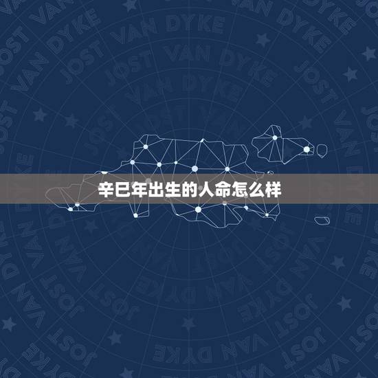 辛巳年出生的人命怎么样，辛巳年七月十六命怎么样