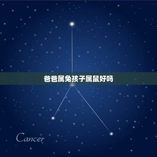 爸爸属兔孩子属鼠好吗,父亲属兔儿子属鼠相克吗 爸爸属兔孩子属鼠好吗,父亲属兔儿子属鼠相克吗