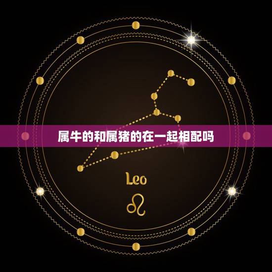 属牛的和属猪的在一起相配吗，属猪的与属牛的人在一起般配吗？