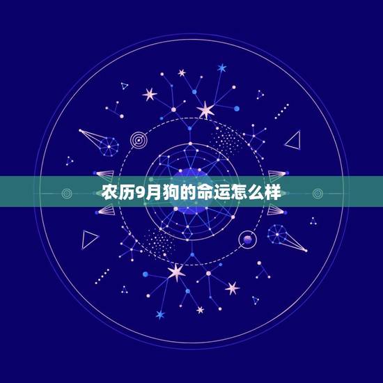 农历9月狗的命运怎么样,狗人农历9月运势 农历9月狗的命运怎么样,狗人农历9月运势