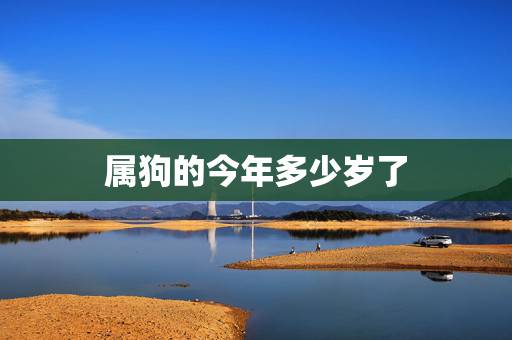 属狗的今年多少岁了,十二生肖配对 属狗的今年多少岁了,十二生肖配对