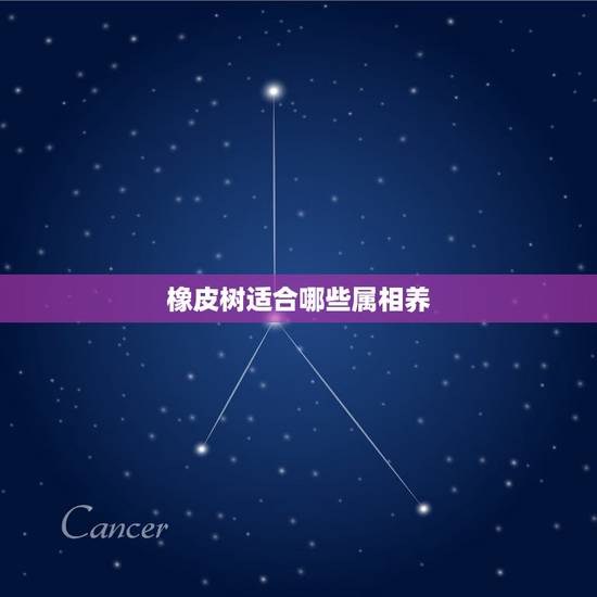 橡皮树适合哪些属相养，橡皮树的养护有哪些禁忌？