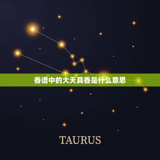 香谱中的大天真香是什么意思，大天真香是什么意思？
