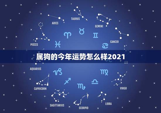 属狗的今年运势怎么样2021，1994年属狗的人2021年运势怎样？男