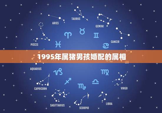 1995年属猪男孩婚配的属相，95年属猪的最佳婚配