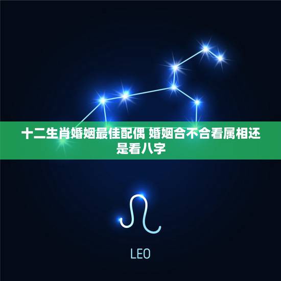 十二生肖婚姻最佳配偶 婚姻合不合看属相还是看八字 十二生肖婚姻最佳配偶 婚姻合不合看属相还是看八字