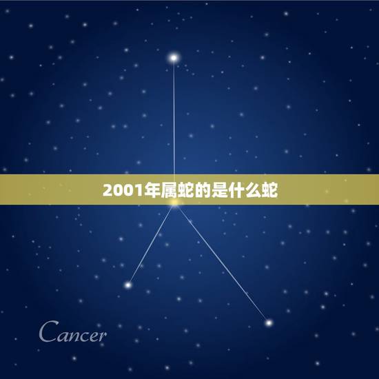 2001年属蛇的是什么蛇,2004年属猴是什么命 2001年属蛇的是什么蛇,2004年属猴是什么命