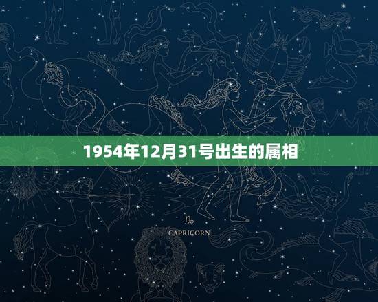1954年12月31号出生的属相，2019年12月31号属什么生肖？