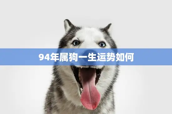 94年属狗一生运势如何(幸运之星照耀财富与爱情双丰收) 94年属狗一生运势如何(幸运之星照耀财富与爱情双丰收)