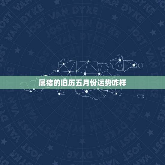 属猪的旧历五月份运势咋样,我属猪,71年农历5月初五早上不到5点出生, 属猪的旧历五月份运势咋样,我属猪,71年农历5月初五早上不到5点出生,