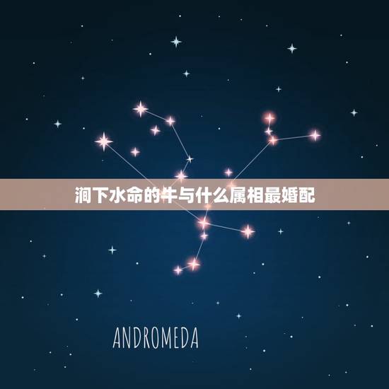 涧下水命的牛与什么属相最婚配，属牛的和什么属相最配 属牛的属相婚配表