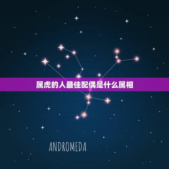 属虎的人最佳配偶是什么属相，属虎的最佳配偶是属什么的？
