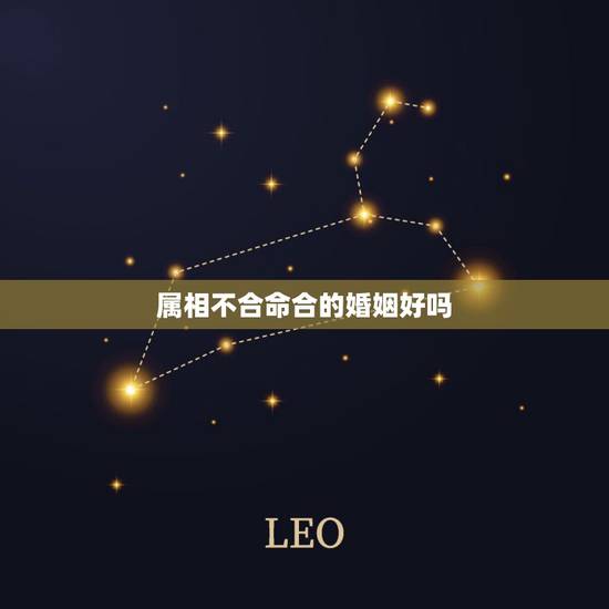 属相不合命合的婚姻好吗，属相和婚姻真的有关系吗