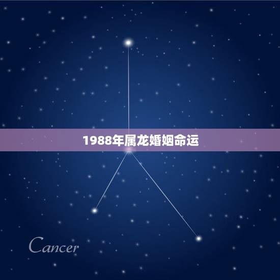 1988年属龙婚姻命运 1988年属龙姻缘在哪年 1988年属龙婚姻命运 1988年属龙姻缘在哪年