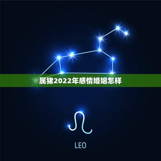 属猪2022年感情婚姻怎样，95年属猪几月命不好