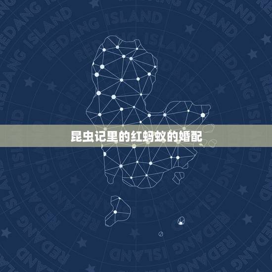 昆虫记里的红蚂蚁的婚配,昆虫记中红蚂蚁的特点 昆虫记里的红蚂蚁的婚配,昆虫记中红蚂蚁的特点