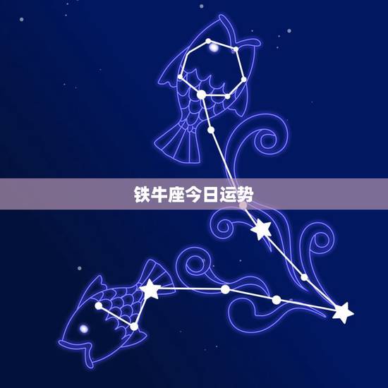 铁牛座今日运势，金牛座今天运势？