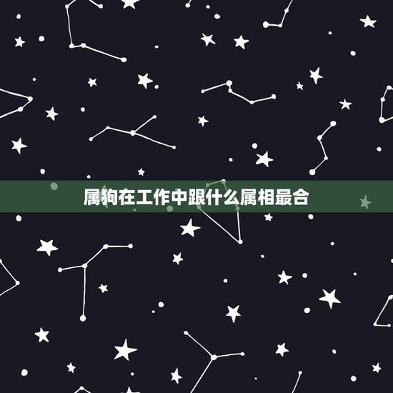 属狗在工作中跟什么属相最合，属狗的和什么属相最合