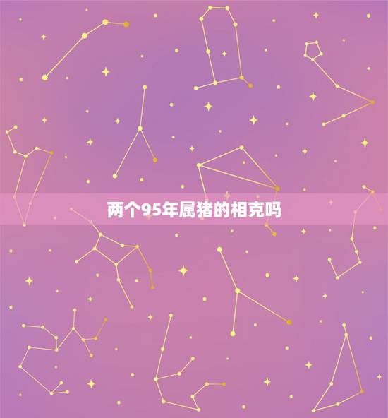 两个95年属猪的相克吗，两个属猪的真的相克不能结婚吗？男是1995年九