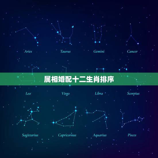属相婚配十二生肖排序，十二生肖排列顺序表