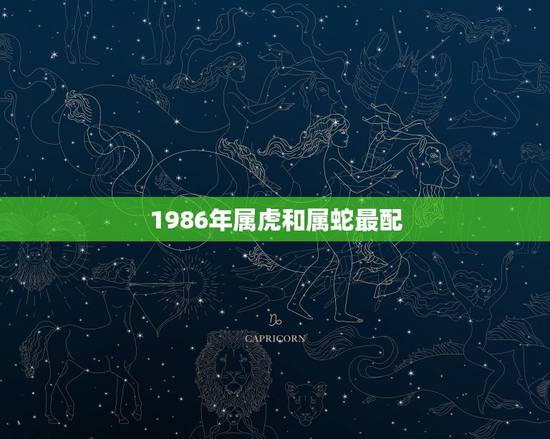 1986年属虎和属蛇最配，男虎女蛇结婚的后果