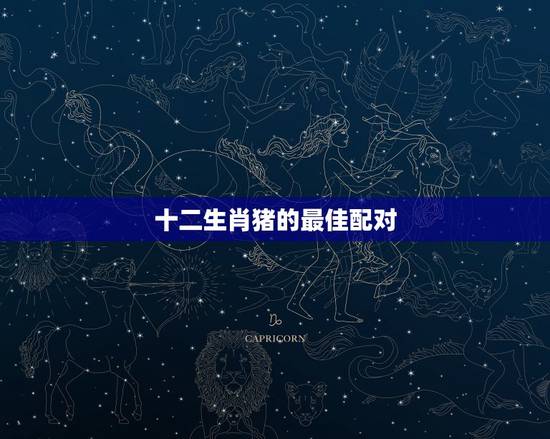 十二生肖猪的最佳配对，属猪的和什么属相最配
