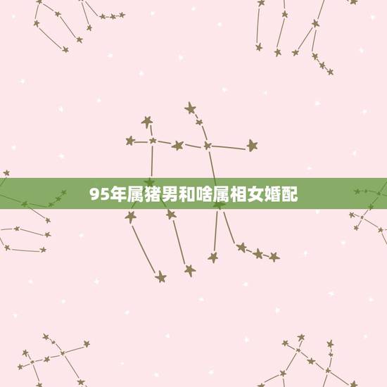 95年属猪男和啥属相女婚配，95年属猪的和什么属相最配