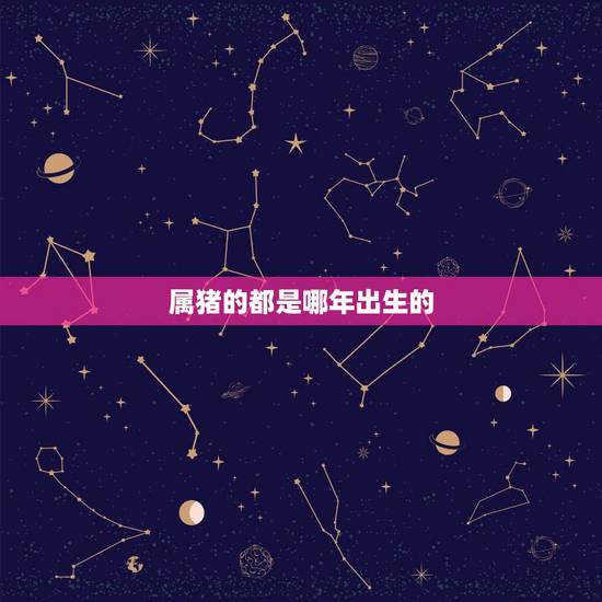 属猪的都是哪年出生的，属猪女孩几点出生更好