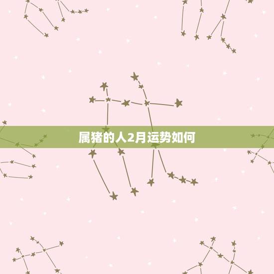 属猪的人2月运势如何，2010属猪人运程运势