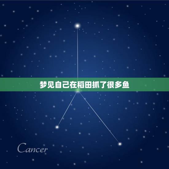 梦见自己在稻田抓了很多鱼,梦见我们在收割稻田,又捉了很多鳝鱼 梦见自己在稻田抓了很多鱼,梦见我们在收割稻田,又捉了很多鳝鱼