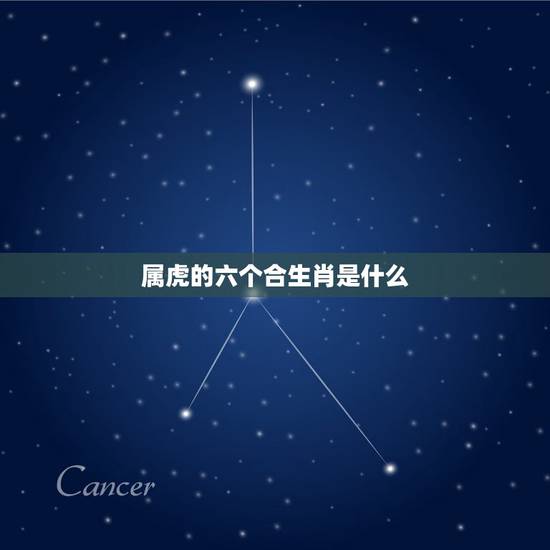 属虎的六个合生肖是什么，属虎的人和什么属相相合