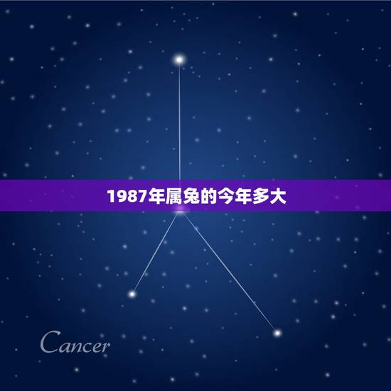 1987年属兔的今年多大,1987年属兔女 1987年属兔的今年多大,1987年属兔女