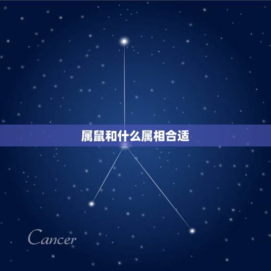 属鼠和什么属相合适，属鼠的和什么属相不合