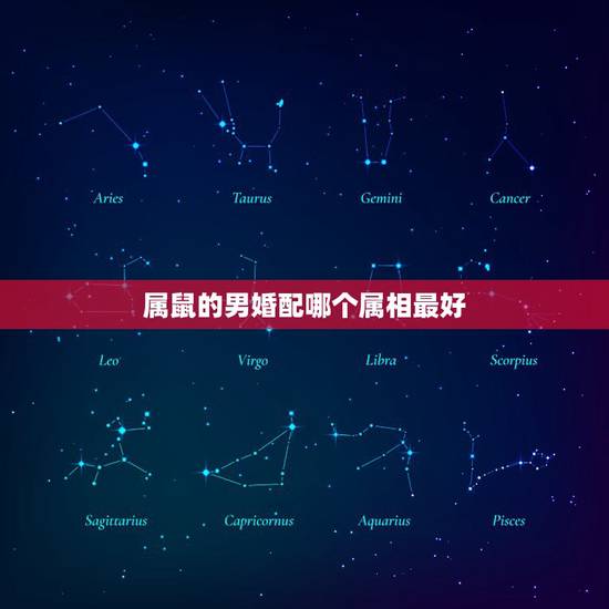 属鼠的男婚配哪个属相最好,属鼠男性适合的婚配属相 属鼠的男婚配哪个属相最好,属鼠男性适合的婚配属相