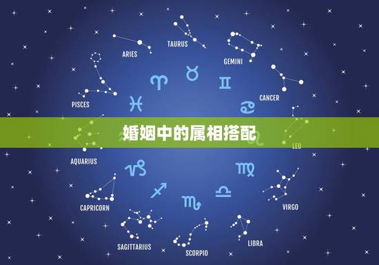 婚姻中的属相搭配,属龙和属猴的婚姻相配 婚姻中的属相搭配,属龙和属猴的婚姻相配