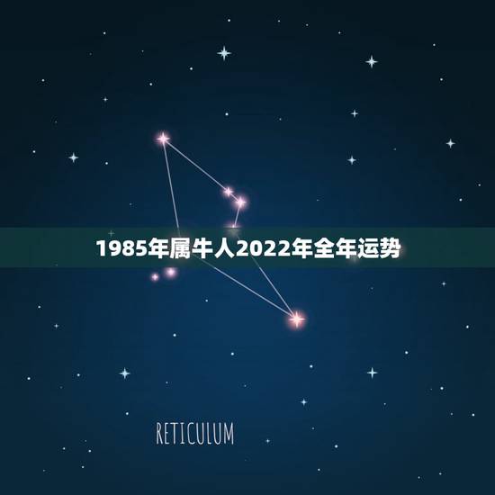 1985年属牛人2022年全年运势，2022年属牛人的全年运势如何？