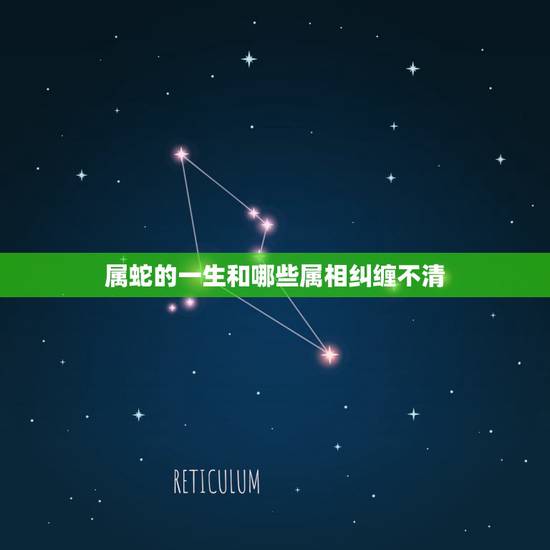 属蛇的一生和哪些属相纠缠不清，属蛇人和什么属相不合