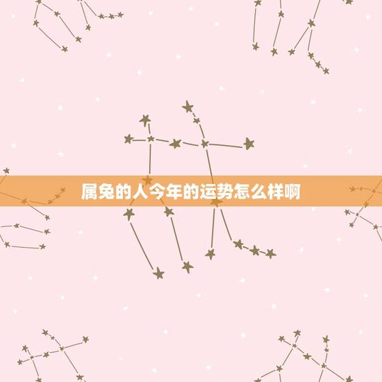 属兔的人今年的运势怎么样啊，属兔女人2022 每月运势