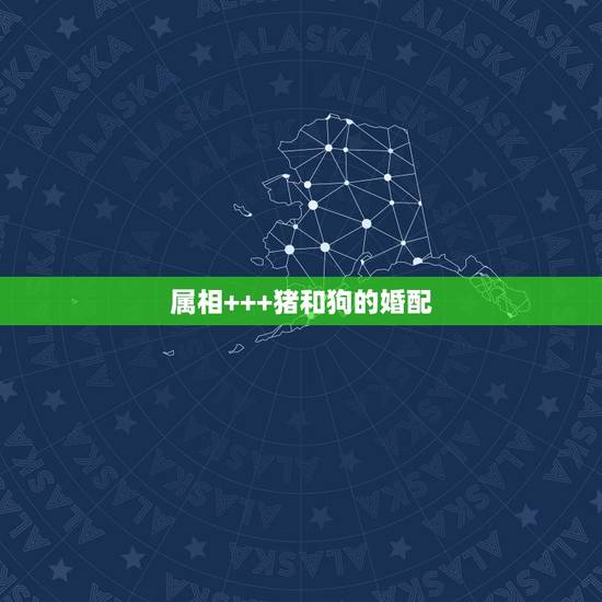 属相+++猪和狗的婚配,属相是狗的不能和什么属相的在一起 属相+++猪和狗的婚配,属相是狗的不能和什么属相的在一起