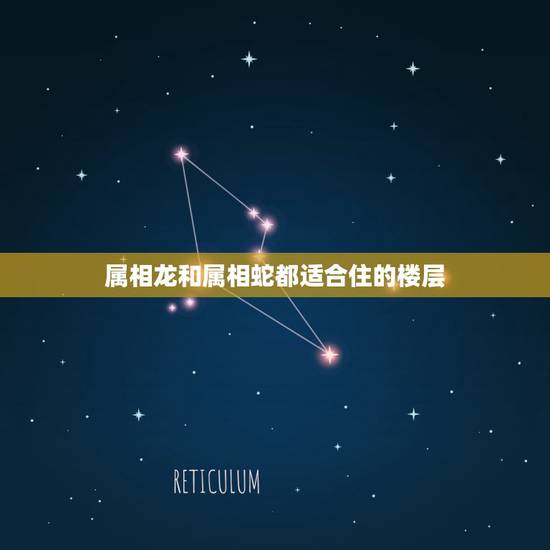 属相龙和属相蛇都适合住的楼层，属龙和蛇的住几层楼最好的选