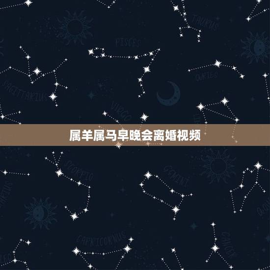 属羊属马早晚会离婚视频，属马女与属羊男婚姻配