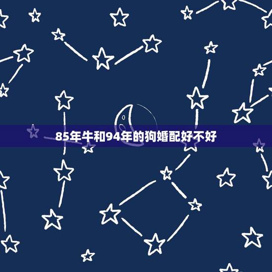 85年牛和94年的狗婚配好不好,85年牛和94年狗和么。 85年牛和94年的狗婚配好不好,85年牛和94年狗和么。