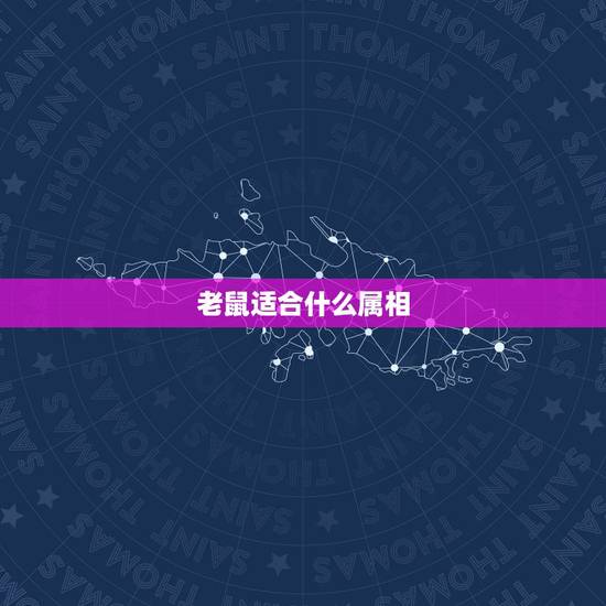 老鼠适合什么属相,属狗和属鼠的合不合婚 老鼠适合什么属相,属狗和属鼠的合不合婚