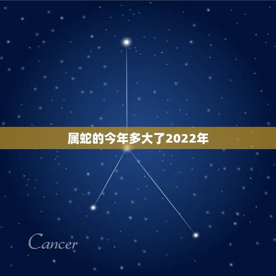 属蛇的今年多大了2022年,属老鼠的今年多大了2022 年 属蛇的今年多大了2022年,属老鼠的今年多大了2022 年