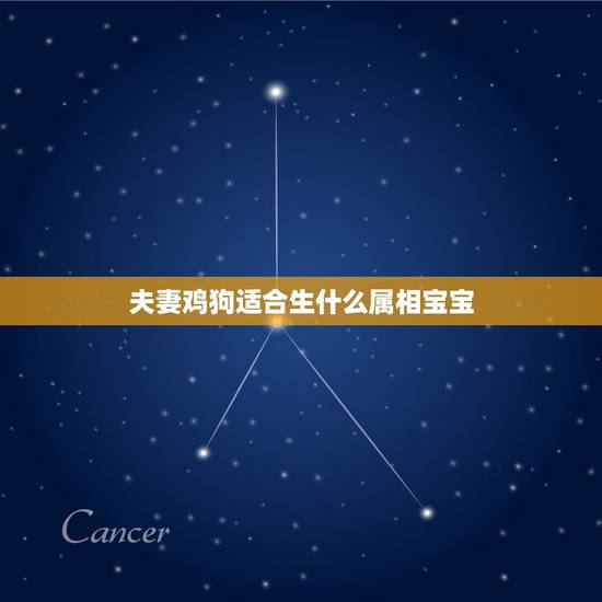 夫妻鸡狗适合生什么属相宝宝，属鸡的找什么属相的好