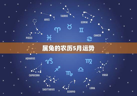 属兔的农历5月运势，63年属兔人在2023年农历二月偏才运势如何？